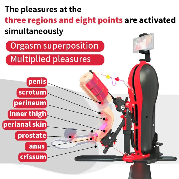 Hellofuntoys™ Automatic Prostate Massager Sex Toy For Men Anal Male Vibrator Penis Perineum Anus Pleasures Combination Tors Combination