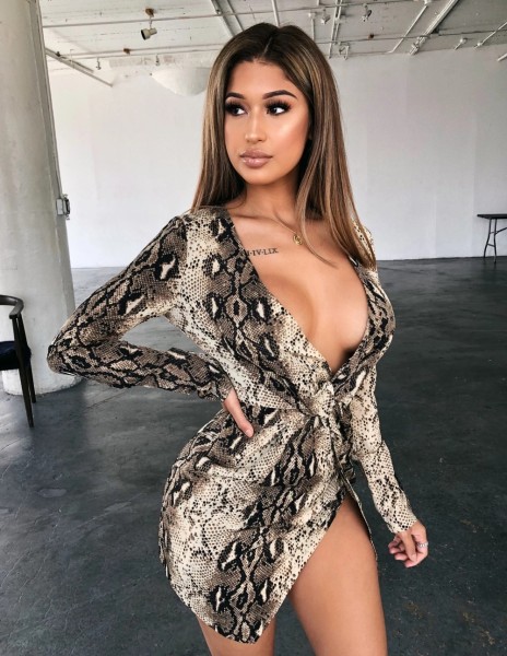 Sexy European and American Women's Snake V-neck Split Dress SH7106