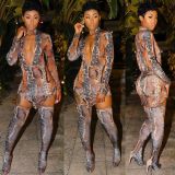 Snake Print Unique Sexy Sets High Neck Skirt Women Leggings HY5117