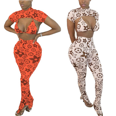 Three piece set of fashion print sexy bikini split pants WJ5084