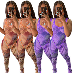 Fashion sexy Womens clothing printed two-piece suit JH180
