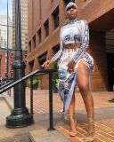 High Collar Crop Top Elastic Waist Split Skirt Printing Unique Sets AFY673