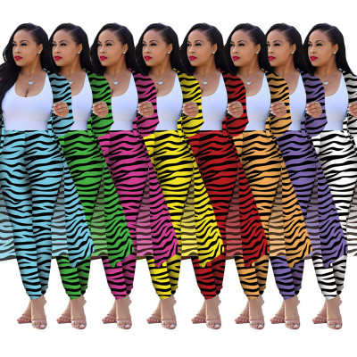 Long sleeve zebra print set DM136