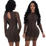 Slim Bodycon Geometric Print Mesh Pencil Dress YYJ959