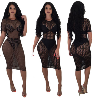 Trendy See Through Printing Bodycon Dress FZ5529
