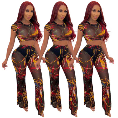 Mature Women Sexy See Through Mesh Printing Long Outfits Q310