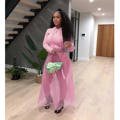 Pink Stylish Long Sleeves Mesh Patchwork Hooded Top LML049