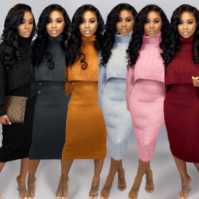 Winter Two-Piece Skirt Sets Turtleneck Sweater Sleeveless Dress MA6273