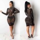 Club Long Sleeved Rhinestone Transparent Pencil Dress For Ladies K8865