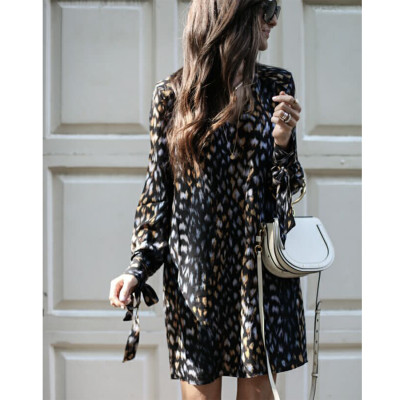 Euramerican Women Leopard Print V Collar Short Dress T3303H