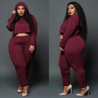 Women's Sexy Lace Set DM110