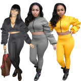 Zipper Crop Tops With Pecil Pants Cotton Outfits 2 Pcs Set LS6202