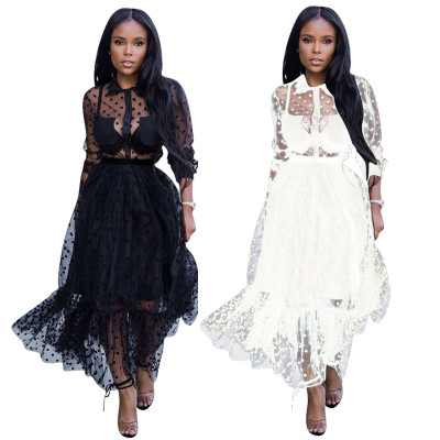Polka Dot Mesh Perspective Long Sleeves Party Dress NK032