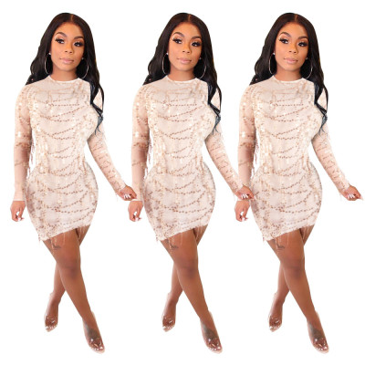 Euramerican Sequins Round Neck Mesh Bodycon Dress MA6231