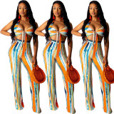 Newest Printing Suits Sexy Bra Top high Waist Ladies Pants YY5071