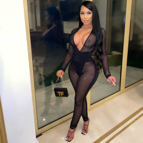 Sexy Mesh stitching Perspective V-Neck Long Sleeves Bodycon jumpsuit YFS8716