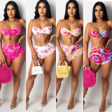 Sexy Coloring Printed Waistless Bikini Split Swimwear CCY8553