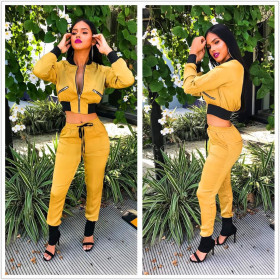 Fashion Women Track Suits Zipper Jacket Elastic Pants YYZ911