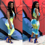 New Design Slim Printing Sleeveless Midi Dress DN8254