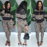 Leopard Printed Splicing Sets Hooded T-Shirt Skinny Pants H1241
