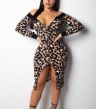 Bodycon Dresses FZ5590