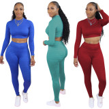 Fashionable Fish Scale Pattern Round Neck Long Sleeves Cropped Top With Trousers Two Piece Set NY801
