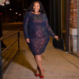 Skinny Long Sleeve Color Sequin Nightclub Dress OSS19477