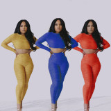Fashion Solid Color Round Neck Long Sleeves Cropped Top With Trousers Pleated Two Piece Set MG8032