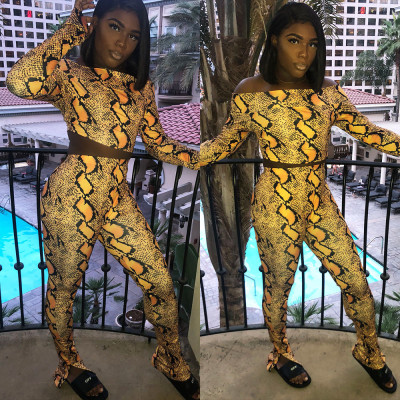 Trendy Leopard Print Outfits Dew Shoulder Top Tight Leggings AL008