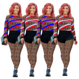 Euramerican Multicolor Print Splicing Two-Piece Fashion Sets JH127