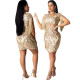 New Design Sexy Fringe Hollow Out Sequin Pencil Dress CCY8245