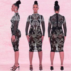 Mature Women Sexy Mesh Printed See Through Midi Dress XZ8910