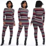Women Slim Bodycon Two-Piece Colorful Printed Autumn Outfits YSH6116