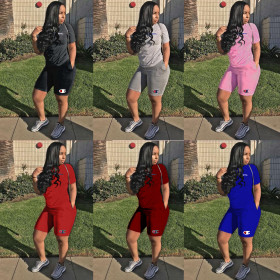 Sports Comfy 6 Colors Two-Piece Shorts Outfits YYL1917