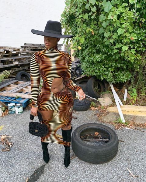 Hot Sale Zebra Printing Long Sleeves Hole Bodycon Midi Dress N9160