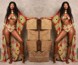 Short Sleeve Lady Cloak Bandage Bra Top Swimming Panty D8269