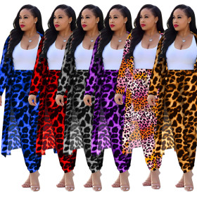 Long sleeve leopard print set DM135