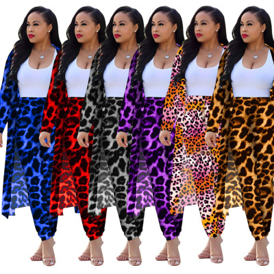 Long sleeve leopard print set DM135