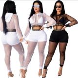 Sexy Grid Stitching Long Sleeves Hooded Crop Sweater With Trousers Two Piece Set HG070