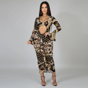 Ruffle Sexy Hollow Out Slim Irregular Transparent Printing Dress MY9555
