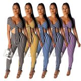 New Design Women Stripe V Collar Tied Skinny Jumpsuit SMR9312