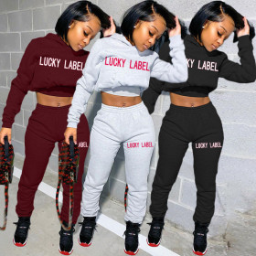 Winter Lucky Label Printed Long Sleeves Hooded Sweater With Pants Two Piece Set ZH5270