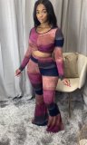 Fashion Printed Round neck Long Sleeves Cropped Top With Flared Pants Two Piece Set R6334