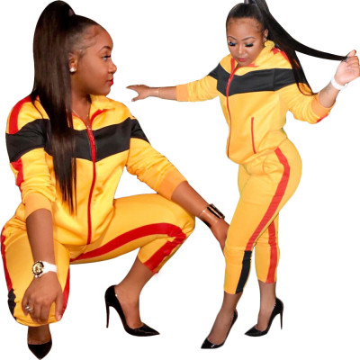 Casual Fashion Ladies Bodycon Winter Track Suits SN3493