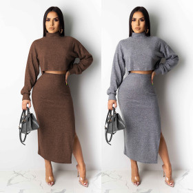 Bodycon Pure Color Winter Leisure Sets High Collar Top Split Skirt K8872