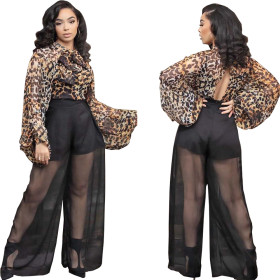 Loose Sleeves Printing Top Mesh Splicing Pants Perspective Hot Sets HG5302