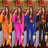 Sexy V-Neck Flared Sleeves Mini Top With Split Trousers Two Piece Set MR2064