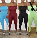Fashionable Casual Wrapped Skinny Solid Bodysuit AA5162