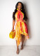 Irregular Sexy Halter Neck Dress For Women CCY8155