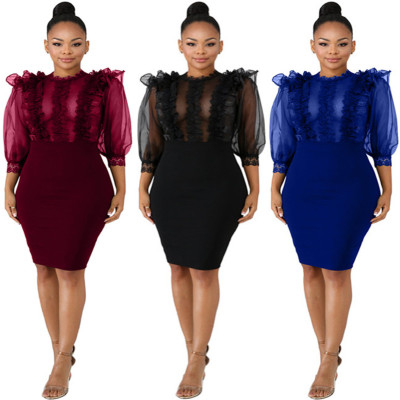 Sexy Mesh Sleeves Perspective Pencil Dress LA3099